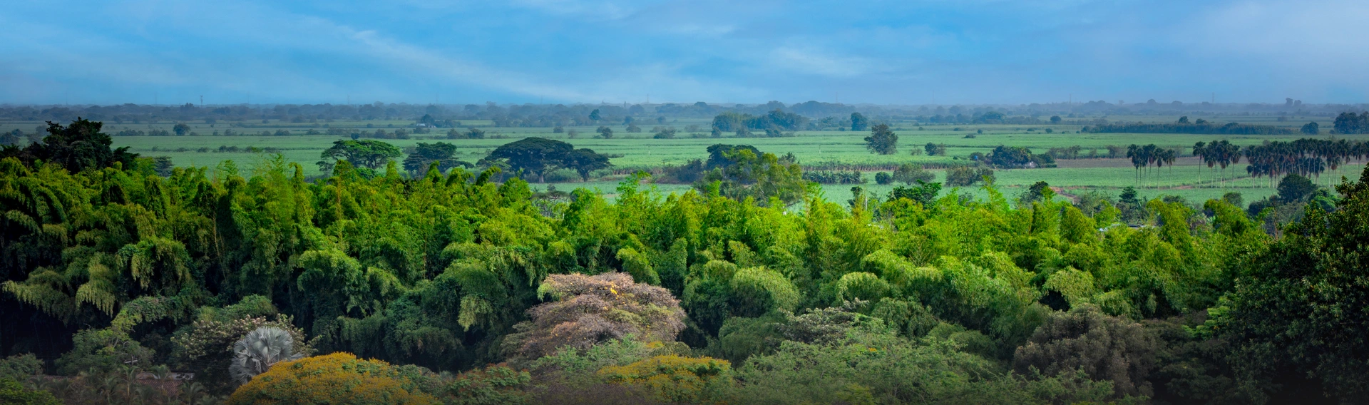 Environment and Territory